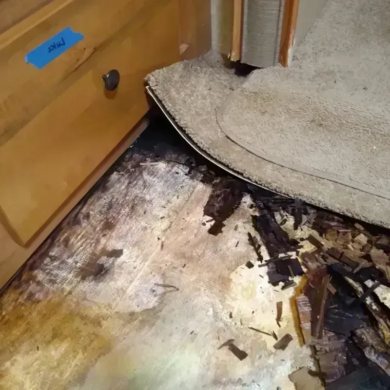 Best Wood Floor Water Damage Service in Lake Jackson, TX